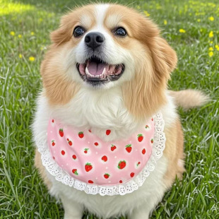 宠物狗口水围巾小中大型犬围兜萨摩耶可爱金毛哈士奇阿拉斯加围脖