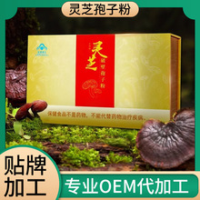 长白山椴木破壁灵芝孢子粉贴牌代加工 富硒灵芝孢子粉OEM定制加工