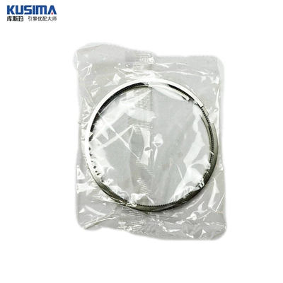 for Land Rover 3.0t – Piston, piston ring, piston pin