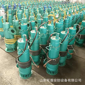 矿用防爆潜水泵BQS100-35-22KW排沙潜水泵 隔爆型铸铁潜水泵660V