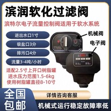 滨特尔滨润BR-AFT自动时间过滤阀BR-AST软化阀 净水器电子式控制