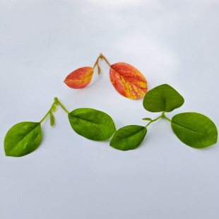 ƬС~tɫGɫϼ~Ƭݘ֦DIYb٘~СG~