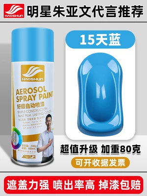 Avtomobil boya qələmləri Black White Paint Can - haoshun-self-painted-450ml15-sky-blue