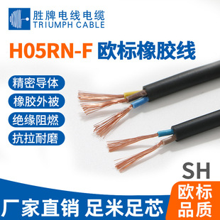 �I�� H05RN-F�W�����z�� CE/VDE/RoHS�h�� 300/500V��оܛ��|