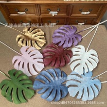 ֧ɫ~cܛbľGɫֲ쾰b~ϻ