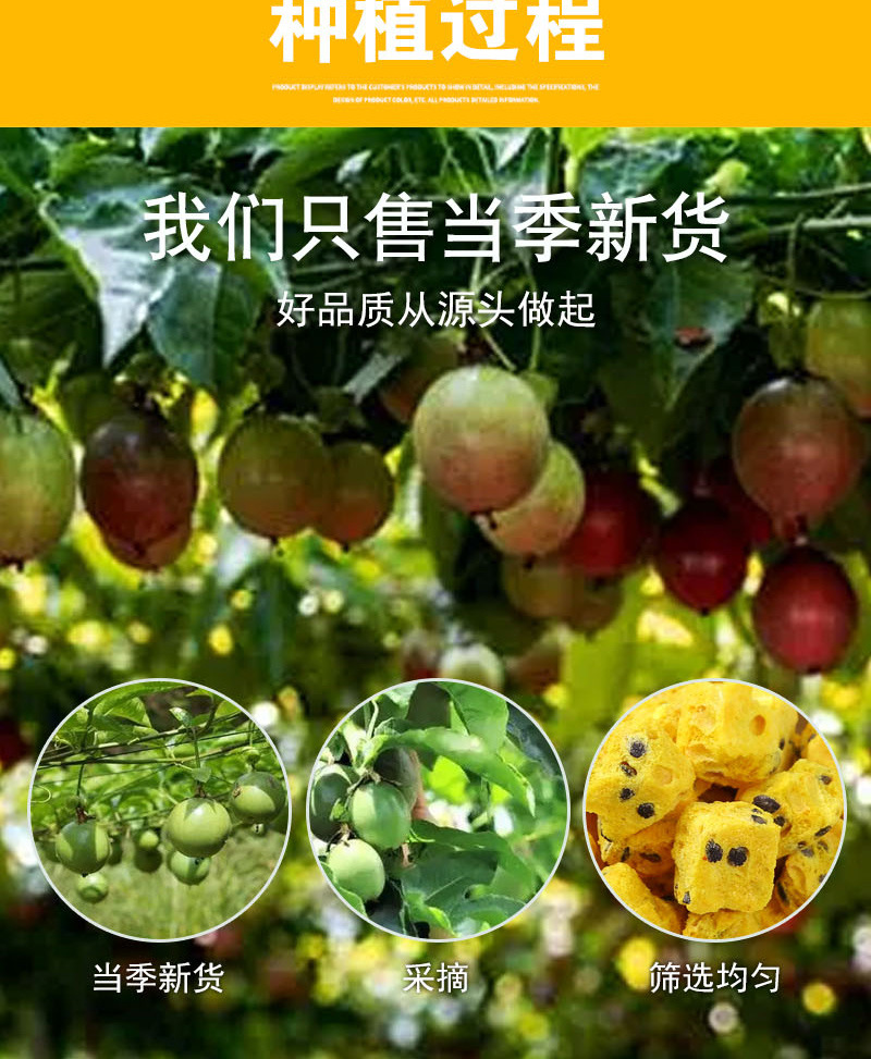 Freeze-Dried Passion Fruit (Passiflora edulis) — Fruit Tea Ingredient for Daily Brewing preparation