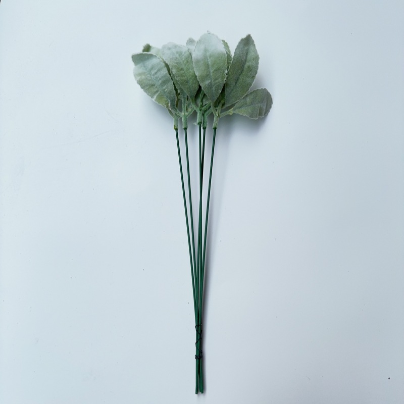 단일 세 잎 양 귀 잎