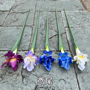������ɫ�Sβ�� ��֧�Sβ�� ��ɫ�����z��cܛ�b�Ƶ��bٻ����l