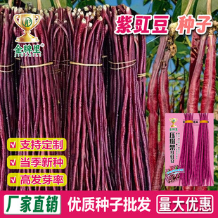 ���l����t���ǷN���ϼt�L�����̨����ͥԺ�ļ����߲˷N��