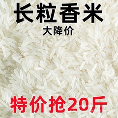 大米新米长粒香象牙香米丝苗米超长猫牙米滋补品小袋便宜商用