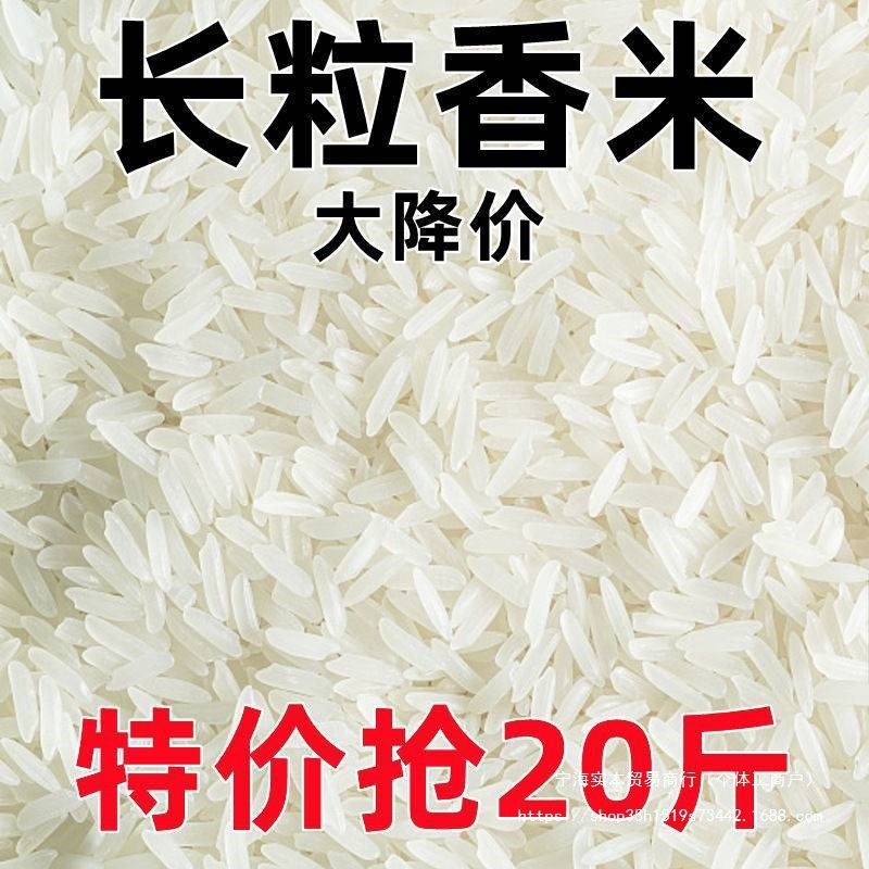 大米新米长粒香象牙香米丝苗米超长猫牙米滋补品小袋便宜商用|undefined