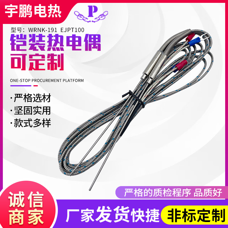 铠装热电偶 热电偶WRNK-191/EJPT100耐高温温度传感器热电偶厂家