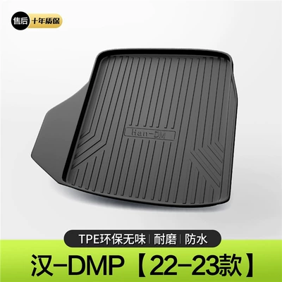Trunk Mat | Refitting Car Interior Decoration - 22-23-models-han-dmp-standard