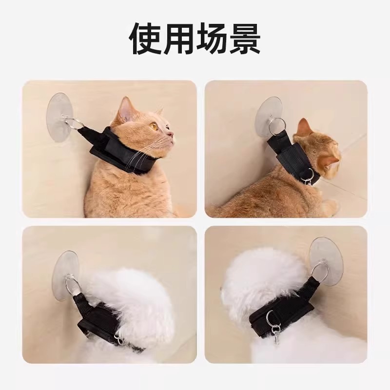 猫の入浴固定具、ペットの猫と犬のシェービングと爪切り、脱走防止、逃走防止、引っかき傷防止、噛みつき防止用品|undefined