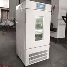 泰宏君LRH-250-ME霉菌培养箱250升BOD测定细菌霉菌培养箱珠江牌