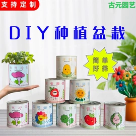 盆栽