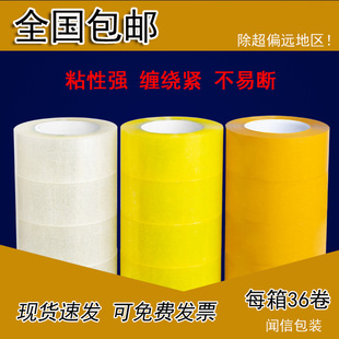 ��5.5cm��2.5cm���b�z�����f��������z����ڎ�͸���z������z��