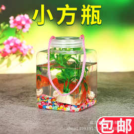 桌面方形小鱼瓶手提塑料鱼缸透明摆摊乌龟缸爬虫宠物运输饲养盒