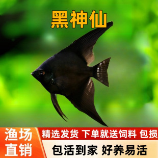 ī���~ˮ�ݸ׵�ˮ�Ꭷ�~�^�p�~�~ī���������~�����~���w