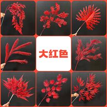 �tɫ��c���滨ӆ����ʽ�b��滨�ļٻ������Ƽtɫõ�彑���Y