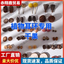 ֲhȻɹϹDIYςԄС