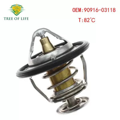 Thermostat, Thermostat