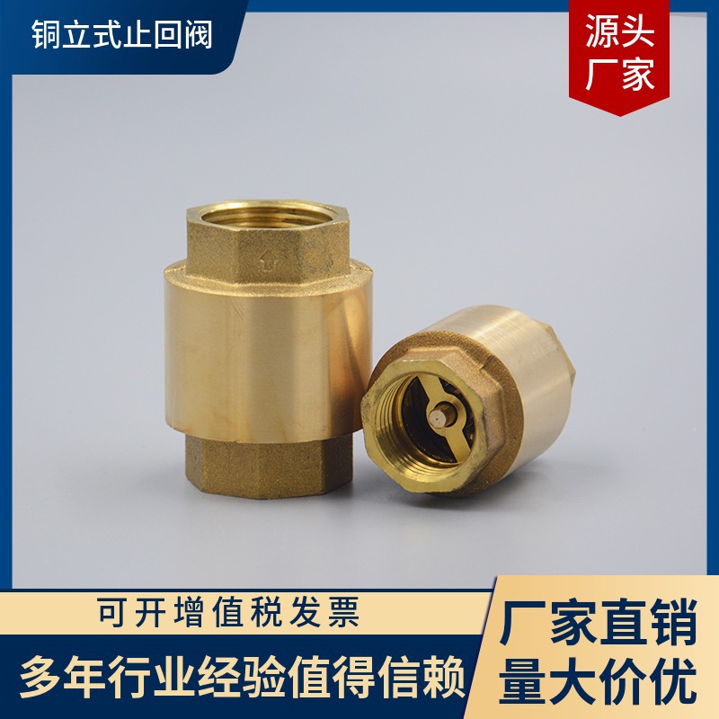 销售锻压黄铜4分立式铜止回阀，卧式止回阀，排空阀，铜闸阀