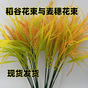 ���滨ˮ�����뵾�ȸɻ��������ϻ�ˇ�Ĕz�����b��̈��͏d�[��