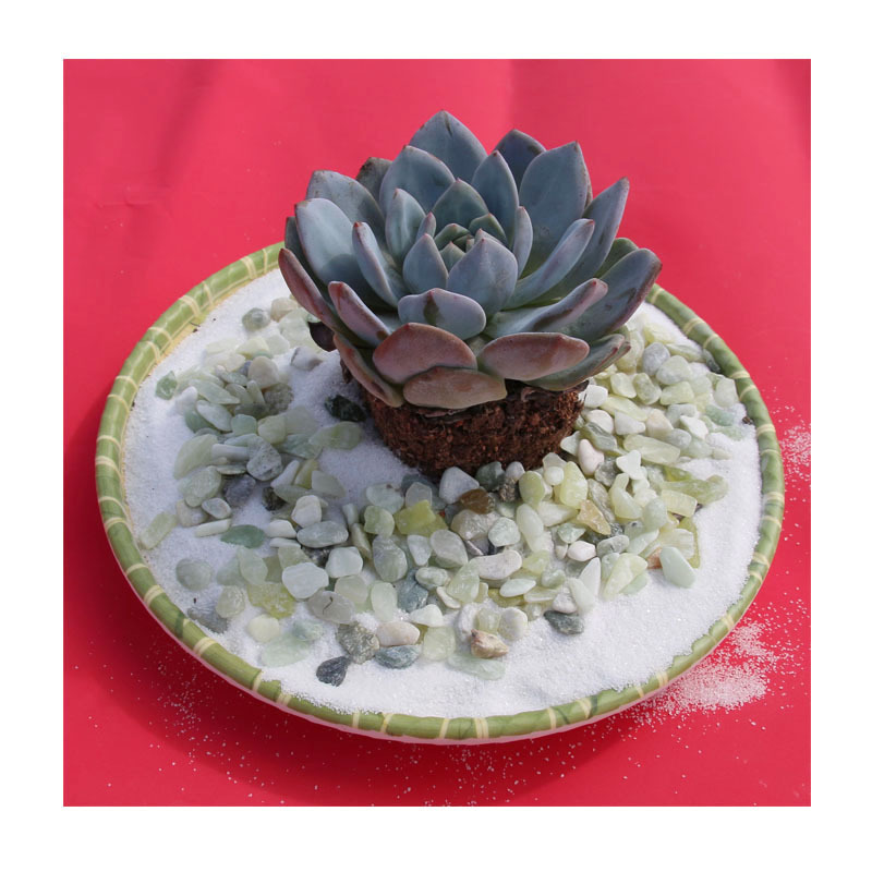 �������̼���ɫ����ʯ5-8cm��Ȼ��·ʯͥԺ�쾰��������ר��װ��