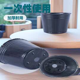 加厚育苗盆超厚营养钵出口品质花盆加厚育苗杯高端耐用抗老化花盆