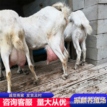 ɯɽ Bֳۻwɽ ծa10ĸ