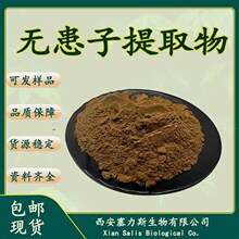 现货库存无患子果提取物无患子提取物无患子生粉1kg/袋可寄样测试
