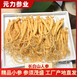 【人参批发】长白山参袋装泡酒参火锅煲汤厂家高丽参麦冬中药材