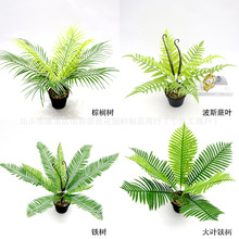 ����Gֲ�F�䲨˹��ާ���ؙ��������F���҃����k���ҹ��̾G������