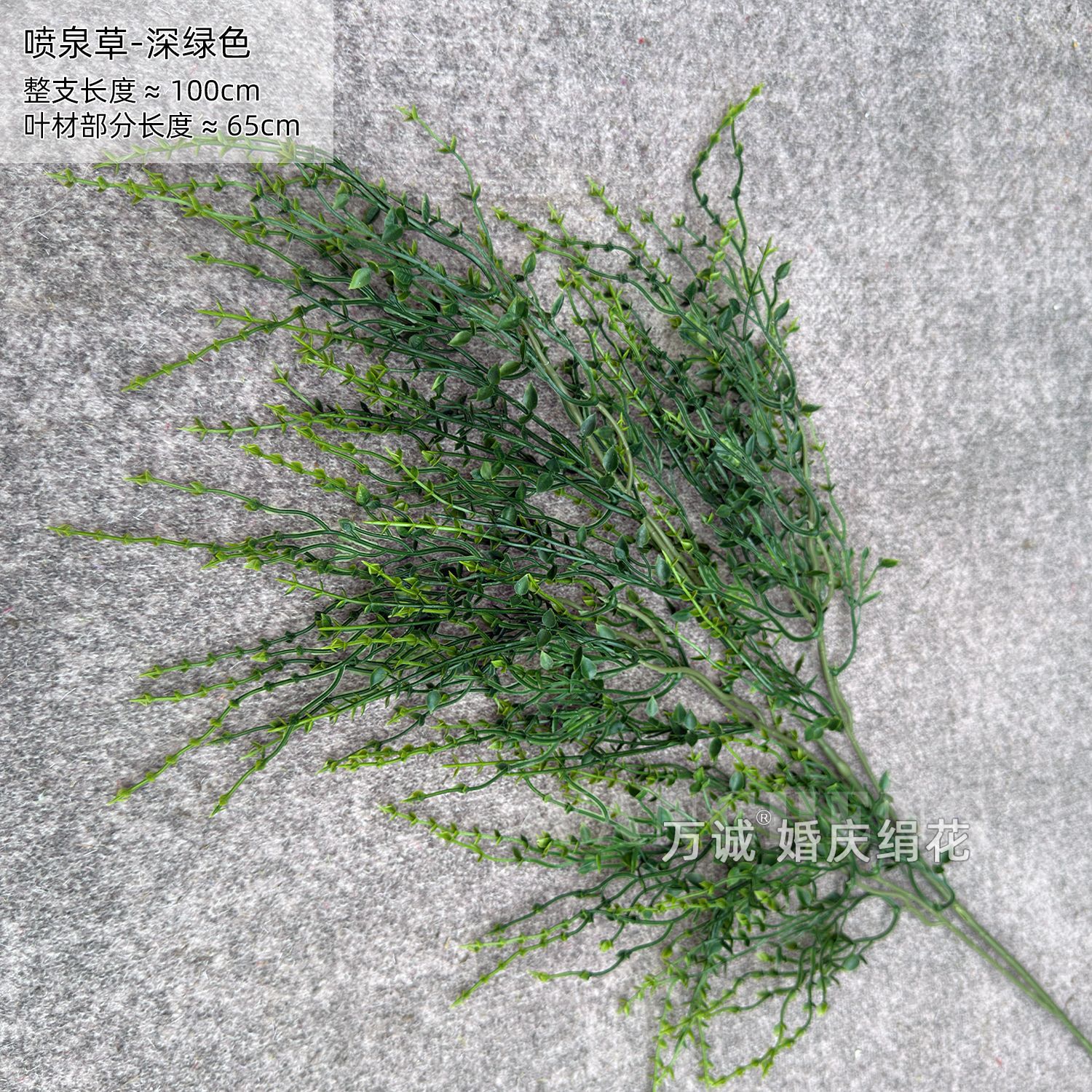 Fountain grass dark green