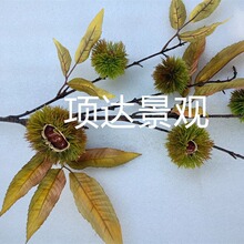 ����������͏d�ҕ���٘��쾰��ƿ�廨����Gֲ��@�L�Ĕz����