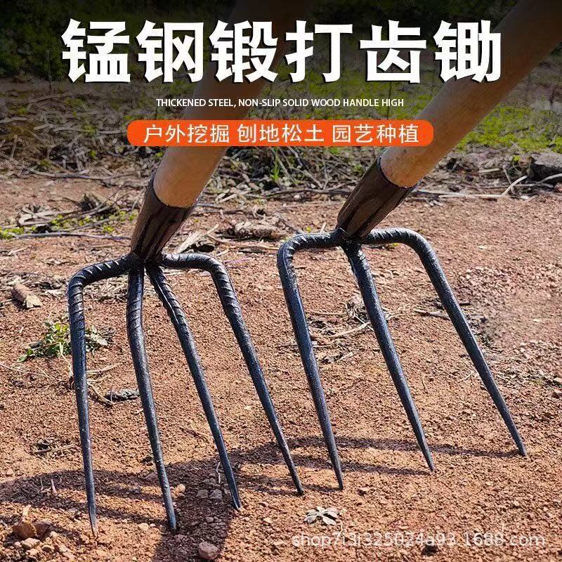 微信图片_202504031438485.jpg
