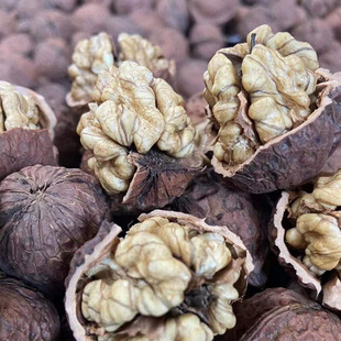 ��ϴ�������¹��ЋD�Թ���ʳ��Ƥ���r����10�（Ƥ���w��