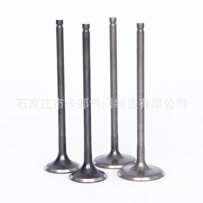 Intake and Exhaust: Yutong Valve components