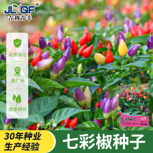 �ļ��߲���������N�����Կ�ʳ�ò�ɫ�^�p��С��������ݽ��N����