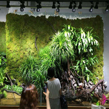植物生长射灯雨林缸花卉室内造景全光谱仿太阳光轨道植物墙补光灯