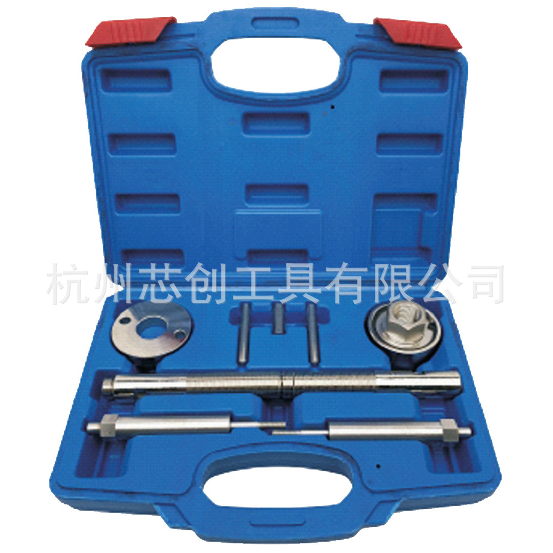 雷诺Trafic Vivaro 2.0 M9R DCI喷油器拆卸工具组套