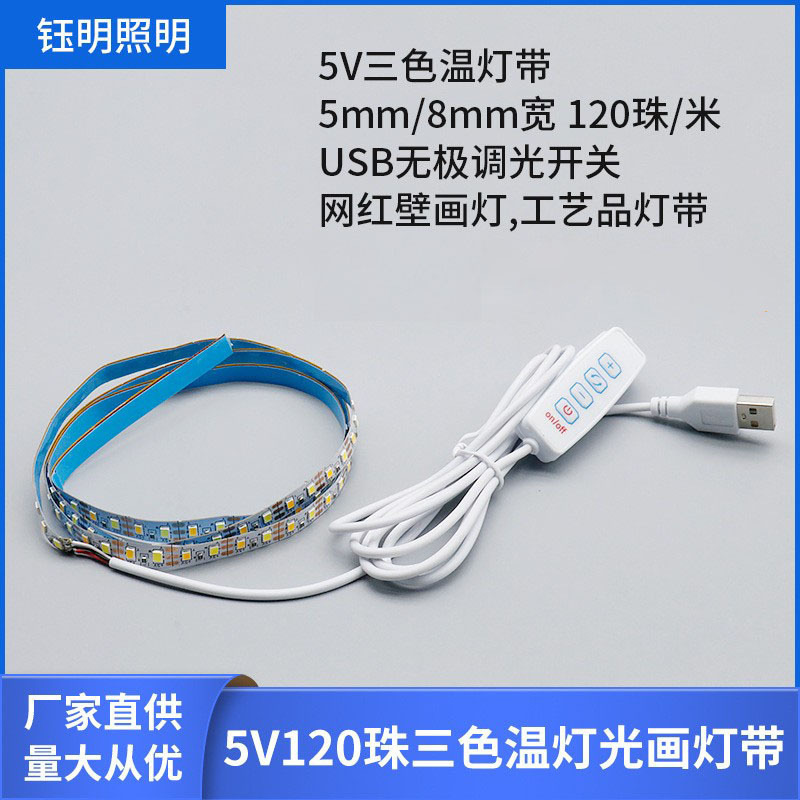 5V Low Voltage 2835 Three-Color Light Strip 120 Lights USB Four-Button Stepless Dimming Led Photo Frame Light Strip