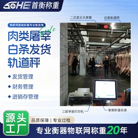 电子秤;显示仪表;台秤