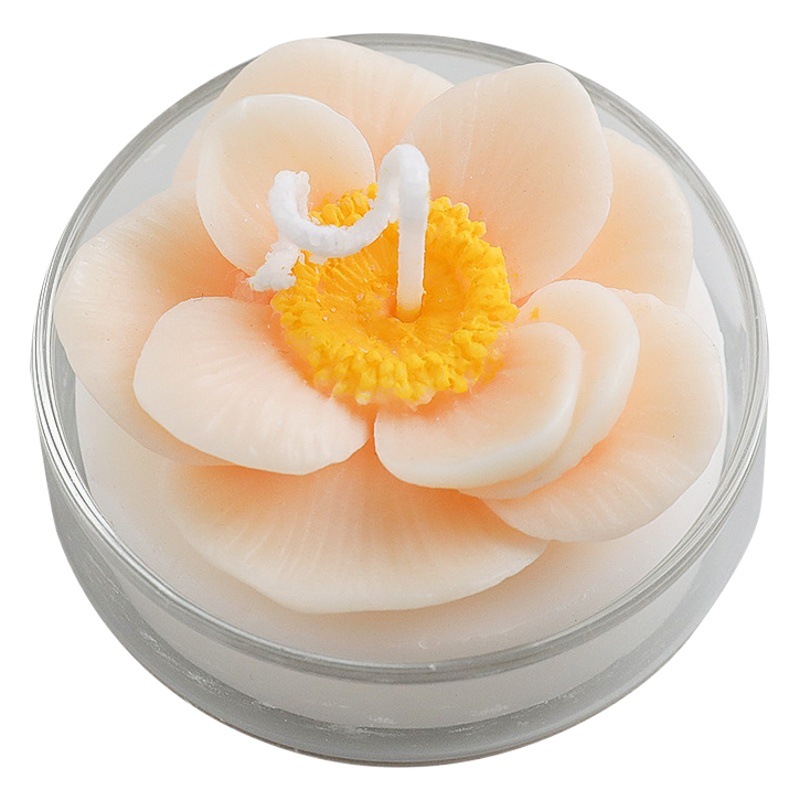 Artificial suculenta vela regalo de cumpleaños al por mayor Rosa forma planta vidrio aromaterapia vela taza decoración creativa