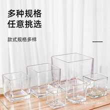 简约透明玻璃花瓶百合方客厅器皿养白掌缸水水培郁金香水仙其他