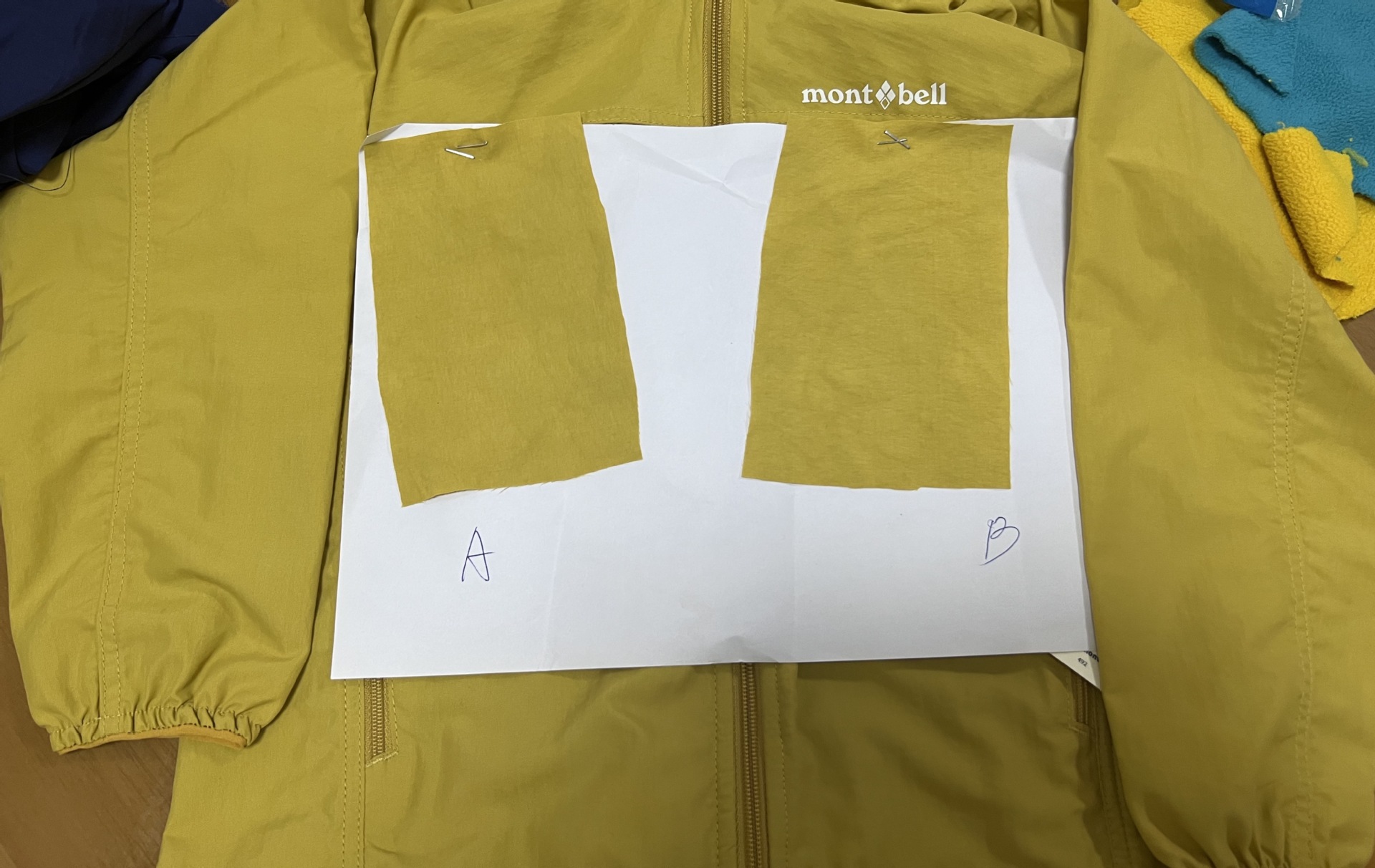 微信图片_20240830000219