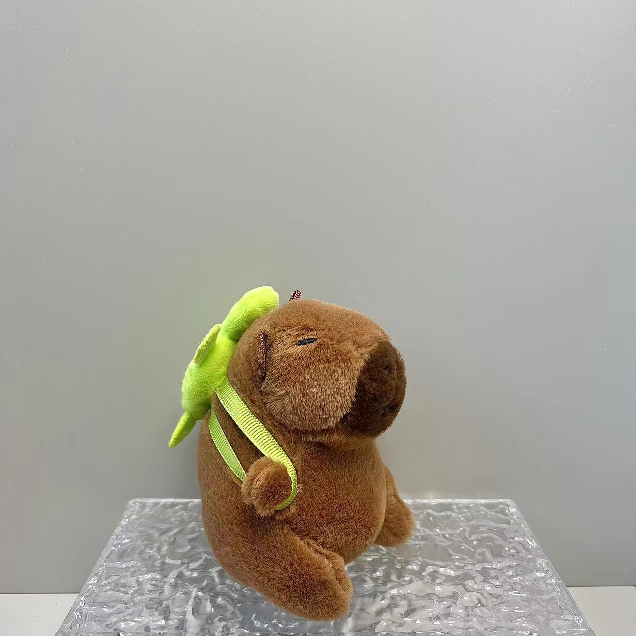 11cm 작은 거북이