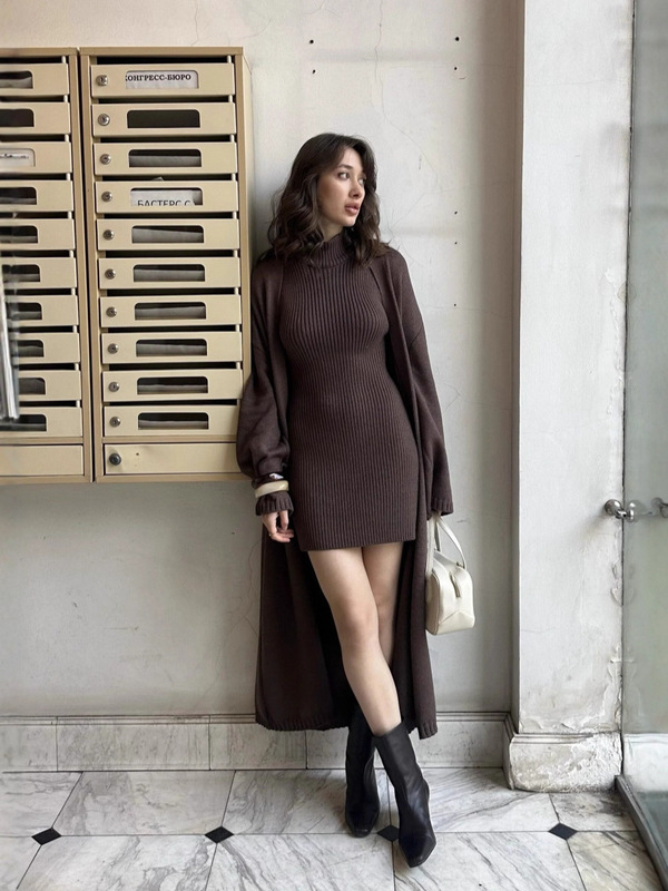 背心针织连衣裙女秋冬季穿搭高级感修身气质长款针织开衫两件套|undefined
