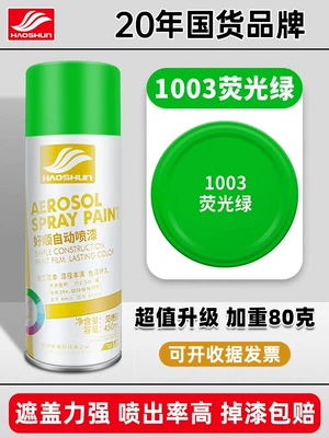 Black and White Automatic Spray Avtomobil boyası - fluorescent-green-450mlbottle